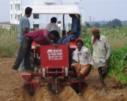 Planting potatoes on a model farm